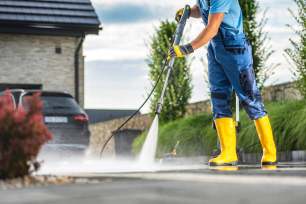 Best Roof Cleaning and Mildew Removal in Silsbee, TX